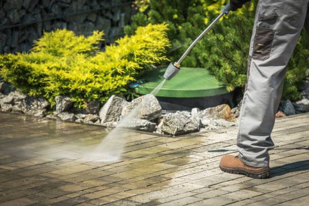 Best Driveway Cleaning and Restoration in Rockville, MD